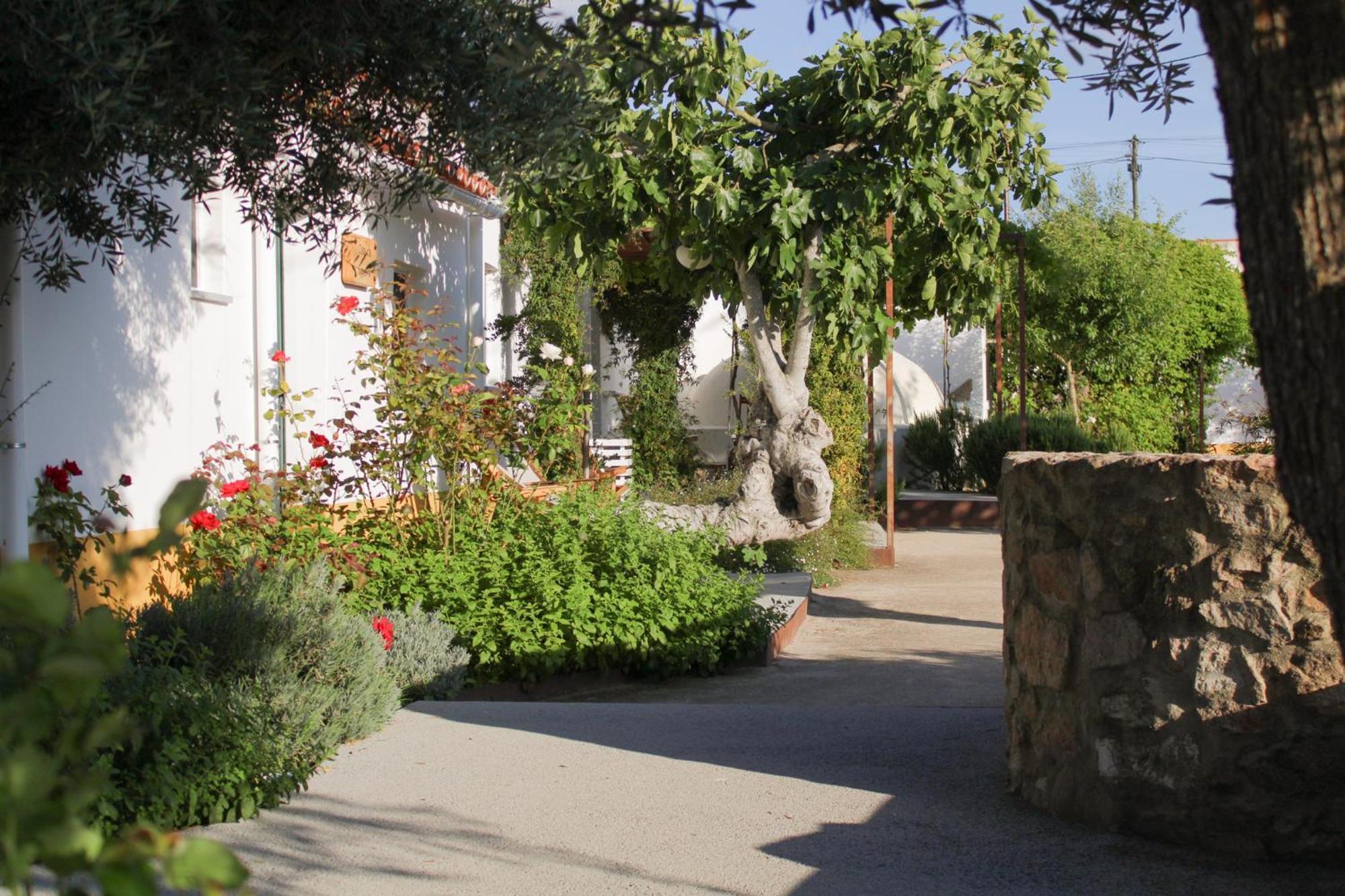 Sao Bras Do Regedouro - Turismo Na Aldeia Villa Évora Dış mekan fotoğraf